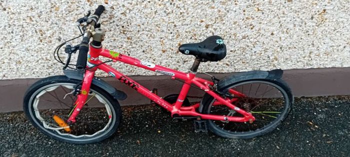 Kids Frog Bike/repair