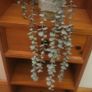 Artificial Plants in Ceramic Pots x2 Image 6