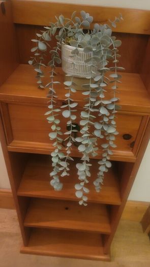 Artificial Plants in Ceramic Pots x2