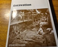 Excavation. Cambridge Manuals in Archaeology. Steve Roskams.