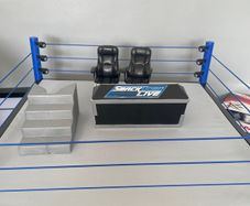 WWE smackdown scale ring