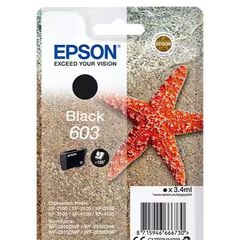 Epson Black Ink Cartridges