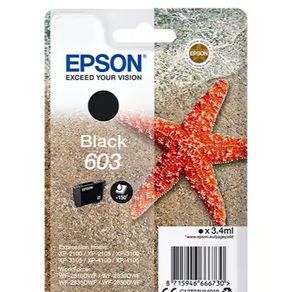 Epson Black Ink Cartridges