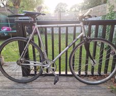 Fixie/single speed large