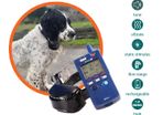 Medium/Large Dog Training System (3km Range) | PACDOG