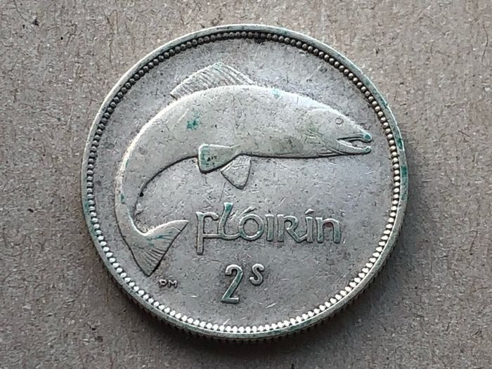 Irish two shilling florin
