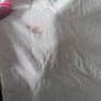 Fitted sheet double Image 5