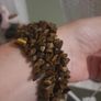tigers eye stretch bracelet Image 2