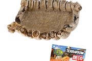 Reptile Nova Terrarium Ornament Bowl BONES