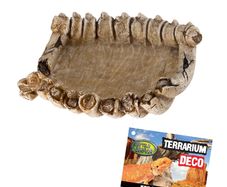 Reptile Nova Terrarium Ornament Bowl BONES
