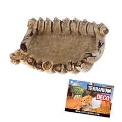 Reptile Nova Terrarium Ornament Bowl BONES