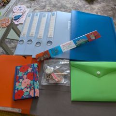 stationary bundle