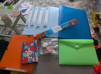 stationary bundle