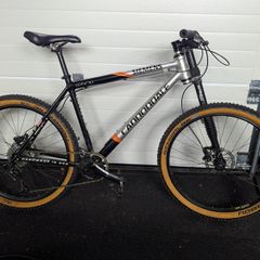 Cannondale Optimo team replica