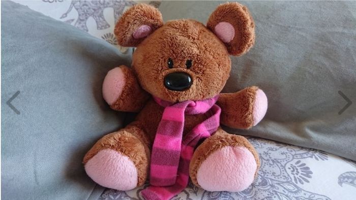 Brown Bear