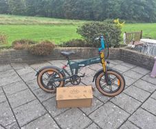Fiido M1 Pro Fat Tire Electric Bike