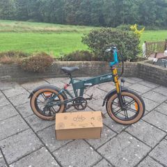 Fiido M1 Pro Fat Tire Electric Bike