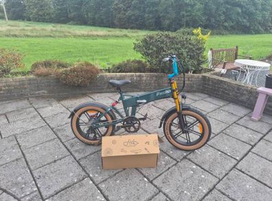 Fiido M1 Pro Fat Tire Electric Bike