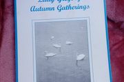 Lady Gregory Autumn Gatherings - Reflections at Coole