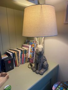Driftwood lamp