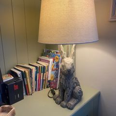 Driftwood lamp