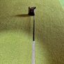Spider putter L neck (Scottie putter) left handed Image 5