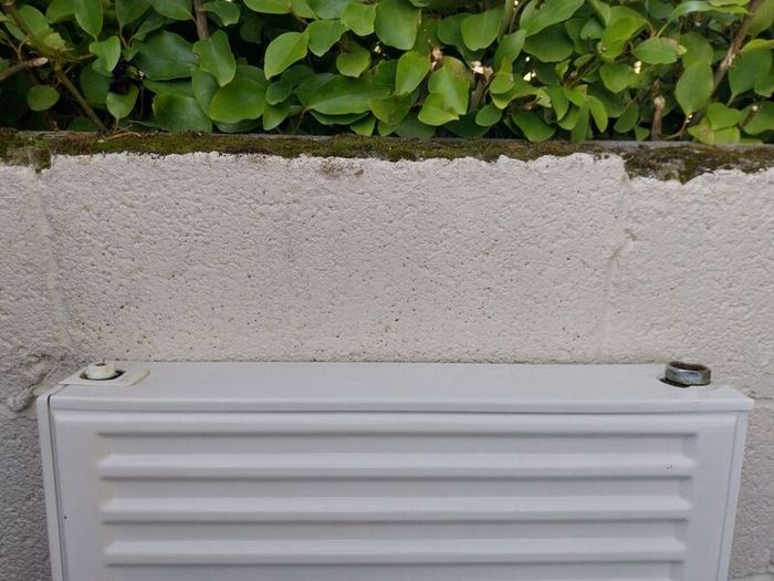 1.6 m wide firefly double panel radiator