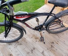 adults bike