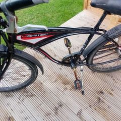 adults bike
