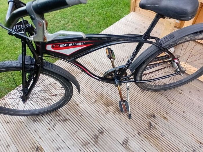 adults bike