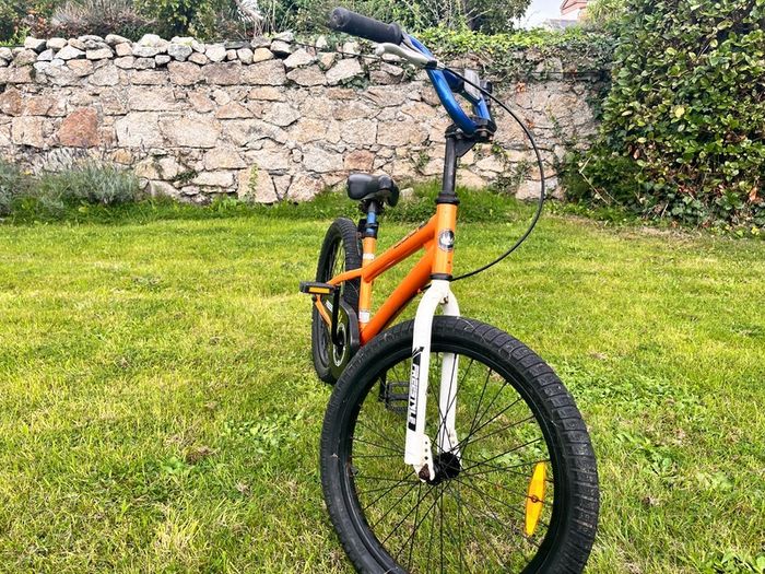 Royal baby freestyle bmx
