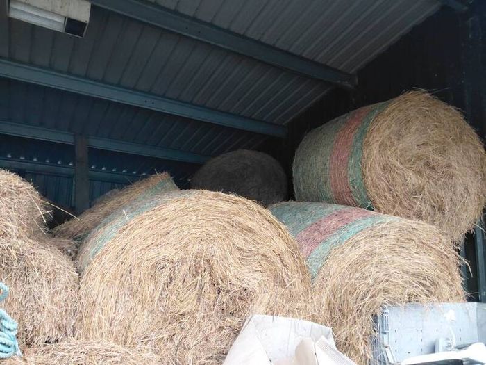 organic hay