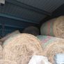 organic hay Image 2