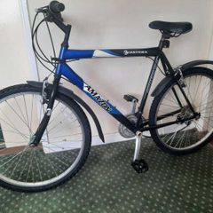 Mountain bike