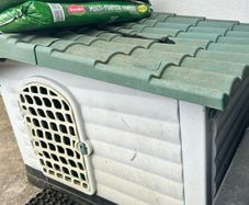 Dog house