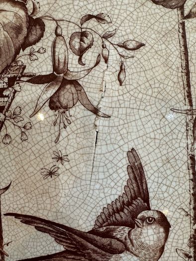Antique Wallis Gimson & Bird & Fuchsia Pattern