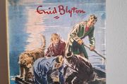 Famous Five Hardback