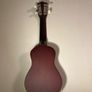 Ukelele Image 2