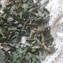plastic soldiers Image 4