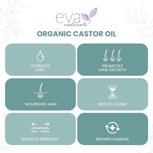 Eva Naturals Organic Castor Oil (60ml) - Promotes Hair, Eyebrow and Eyelash Growth - Diminishes Wrinkles and Signs of Aging - Hydrates and Nourishes Skin - 100% Pure - Cold Pressed, Premium Quality (FREE POSTAGE)