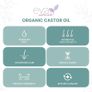 Eva Naturals Organic Castor Oil (60ml) - Promotes Hair, Eyebrow and Eyelash Growth - Diminishes Wrinkles and Signs of Aging - Hydrates and Nourishes Skin - 100% Pure - Cold Pressed, Premium Quality (FREE POSTAGE) Image 3