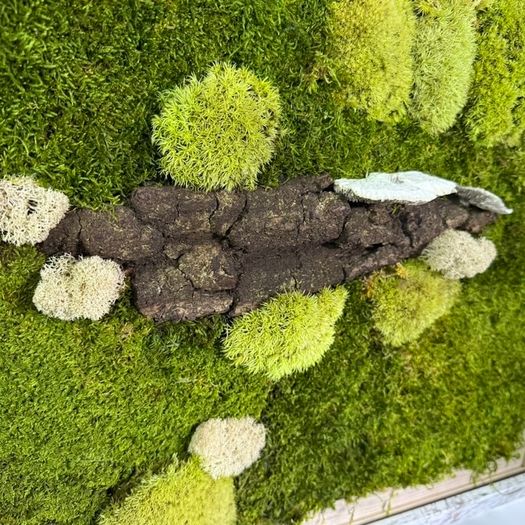 Wall decor 40x50cm natural moss