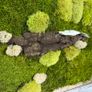 Wall decor 40x50cm natural moss Image 3