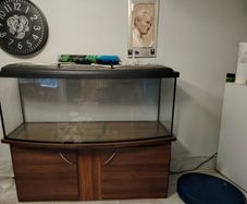 fish tank
