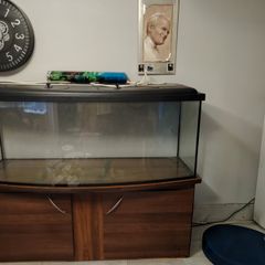 fish tank