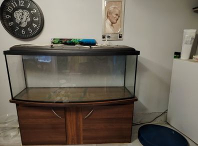 fish tank