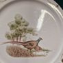 Keltcraft Pheasant Dinner plate by Noritake Image 2