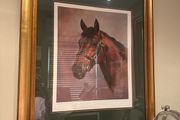 Jacqueline Stanhope 45/500 print