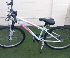 Teenager mountain bike