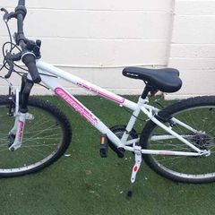 Teenager mountain bike